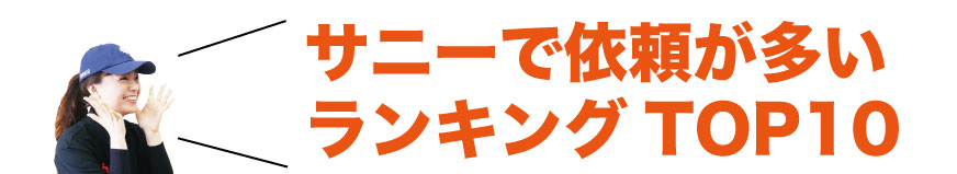 サニーに依頼が多いランキングTOP１０